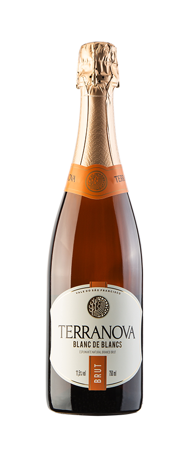  Terranova Brut 